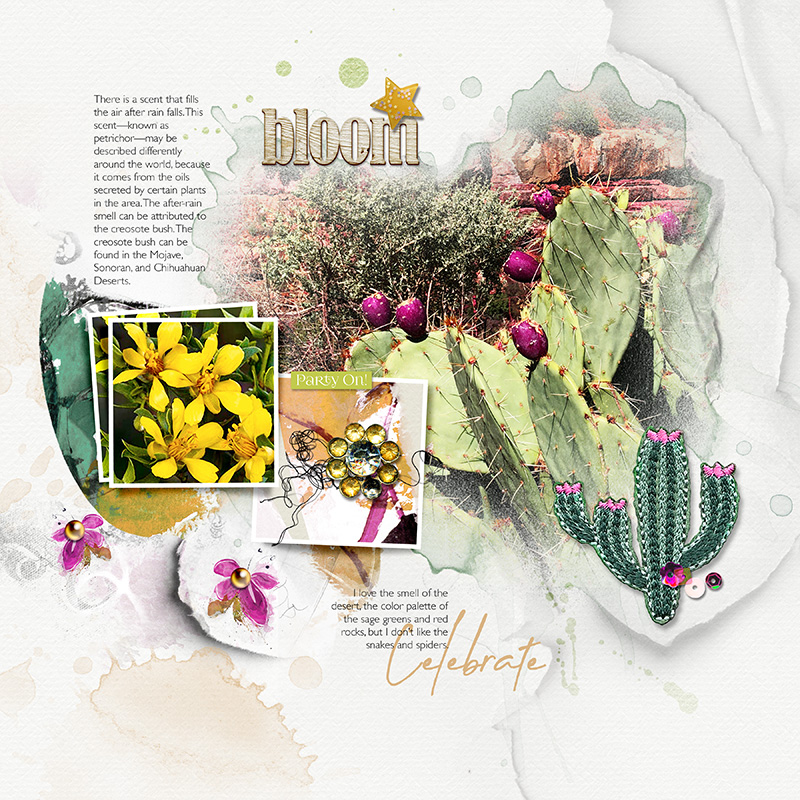 Desert Blooms