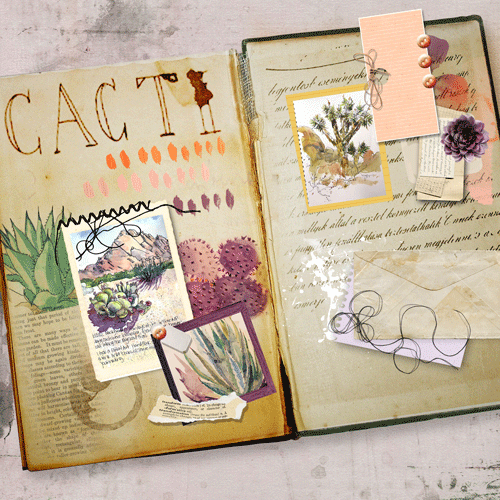 Desert Journal/chall 6