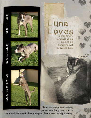 DesignBirthdayChallenge: Font Challenge_Luna Loves