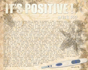 Designer: Pregnancy Album p1