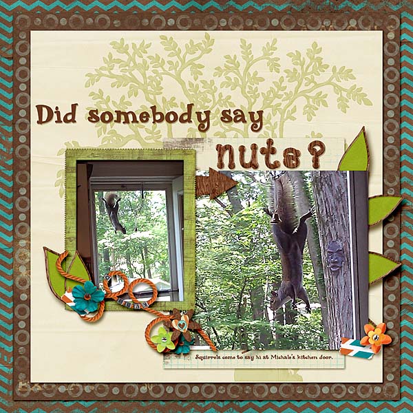 Did someone say nuts?