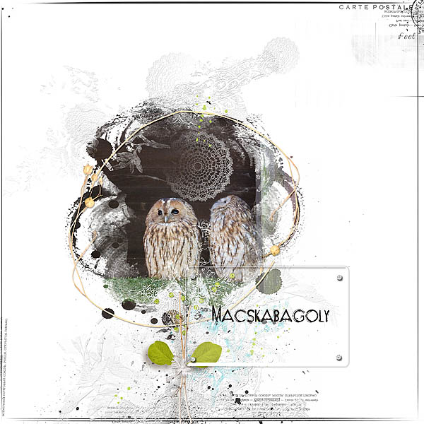 Dido Designs_Designer spotlight October 3-12 - Tawny owl