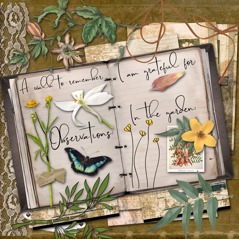 Digi ARTventures Nature's Notebook Collection