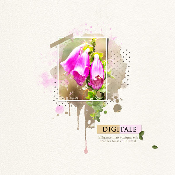 Digitale