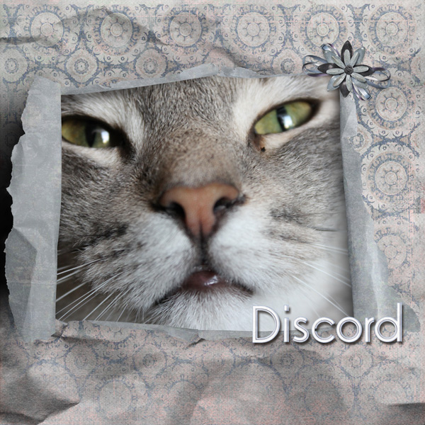 Discord