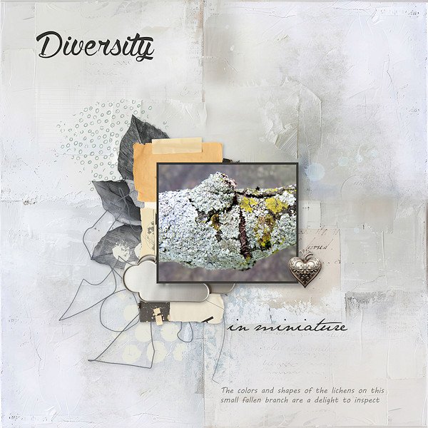 Diversity in Miniature