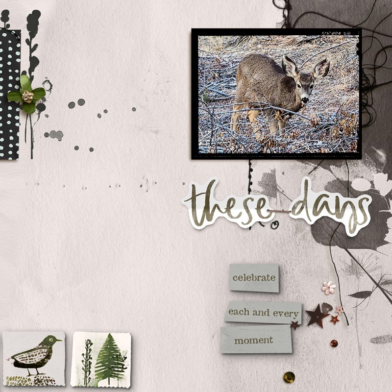 dk-rj-these-days-(mule-deer)