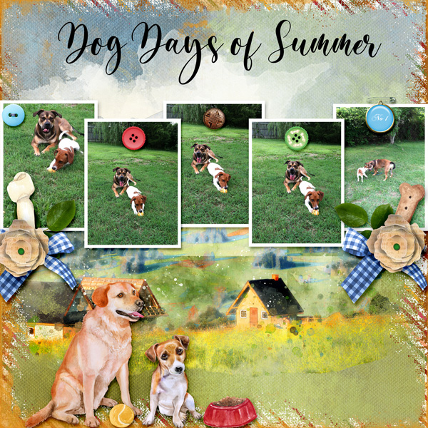 Dog-Days-of-Summer