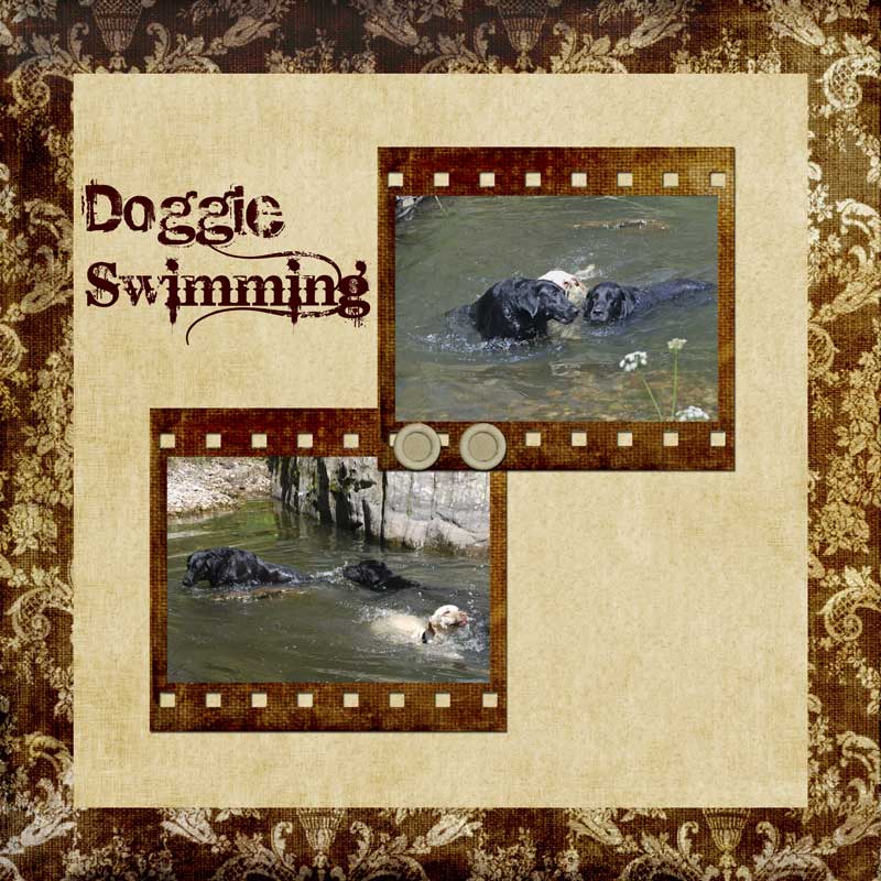 Doggie Swimming