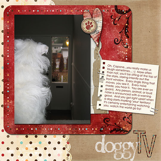 Doggy TV