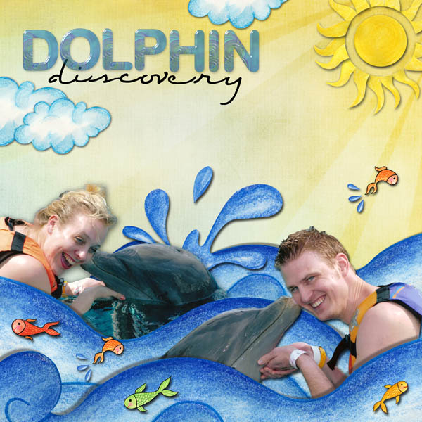 Dolphin Discovery