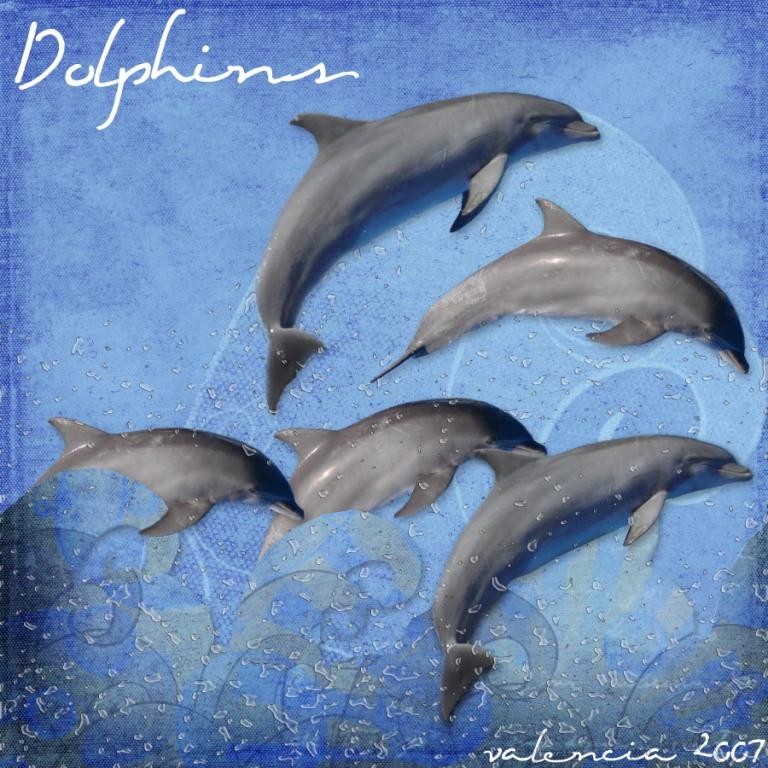 Dolphins