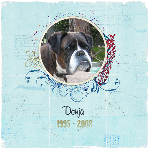 Donja