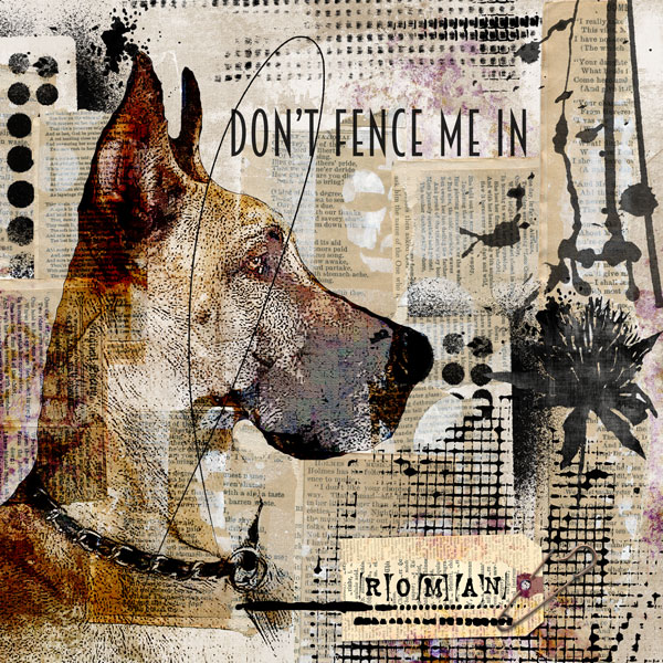 Don't Fence Me In