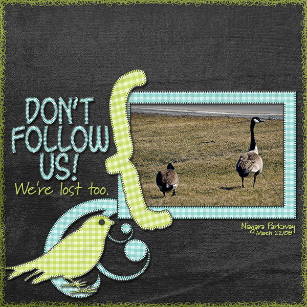 Don't Follow Us!