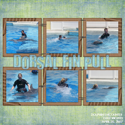 Dorsal Fin Pull