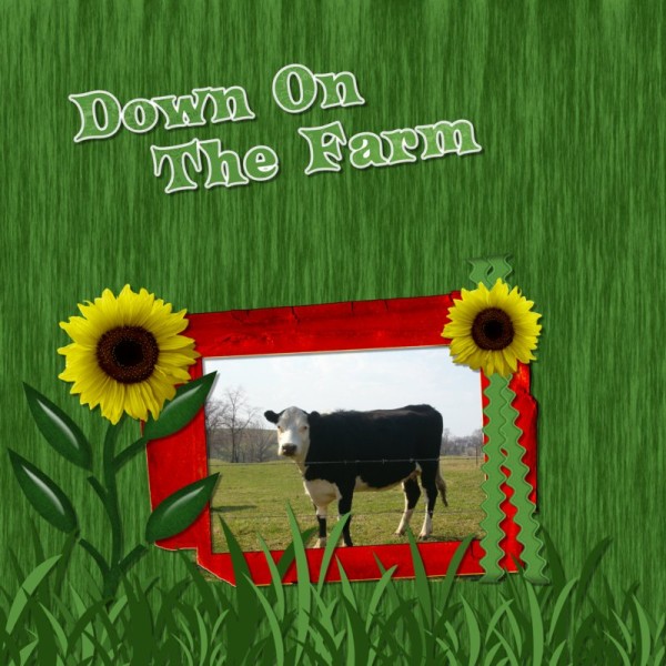 Down on the Farm