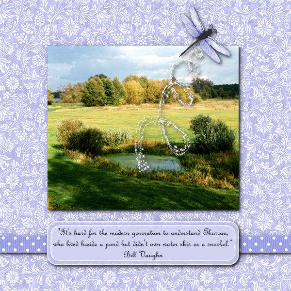 Dragonfly Pond