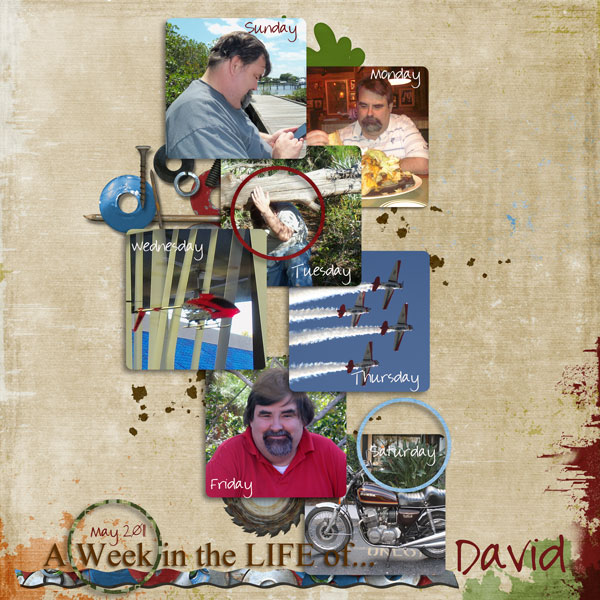 {Dream} Week in the Life of David