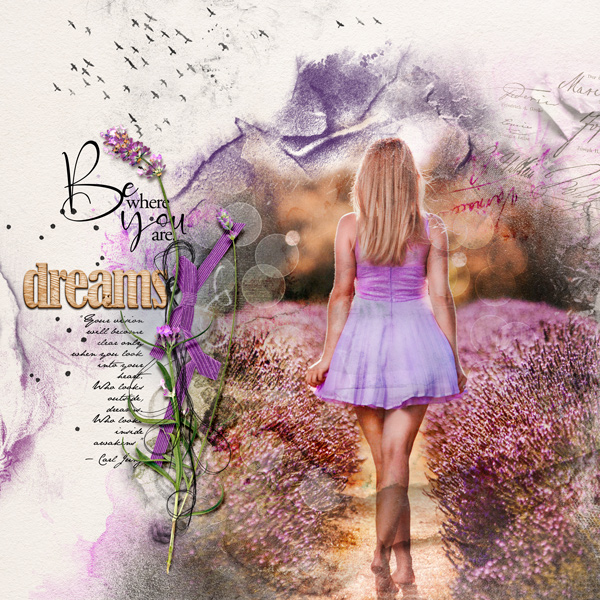 Dreams - Wildflower