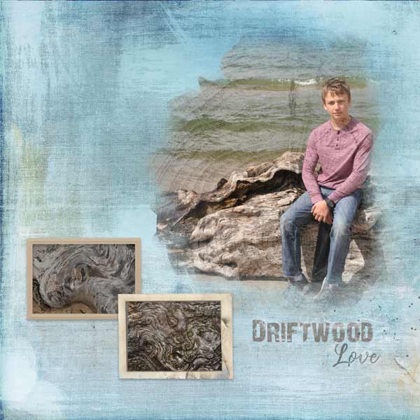 Driftwood Love