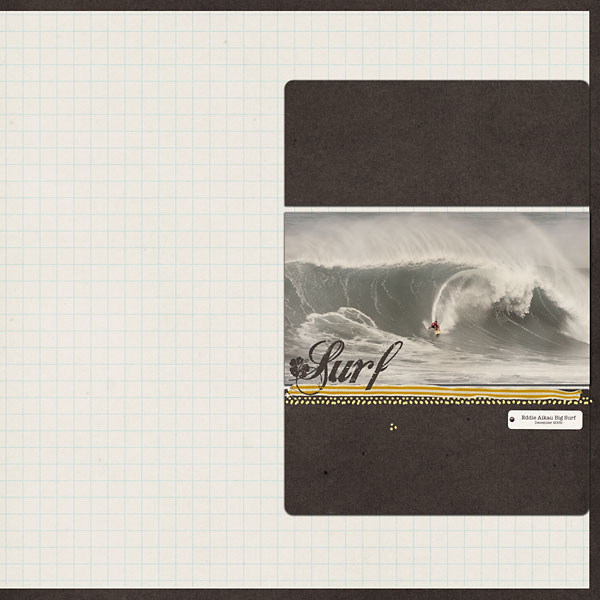DSC-WinterSurf