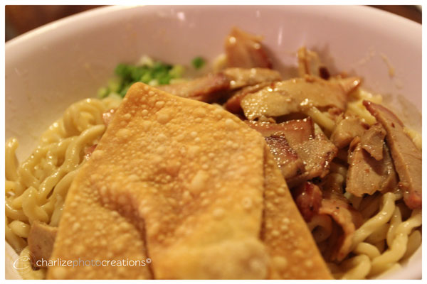 Dumplings Chicken Noodles