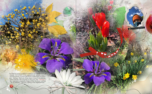 Early Flowers Collage