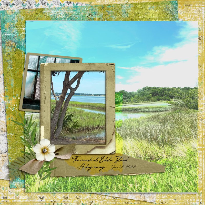 Edisto Island_Template by Ona.jpg