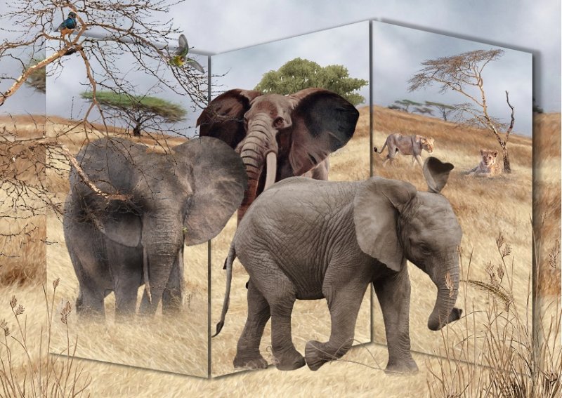 Elephant Walk Triptych.jpg