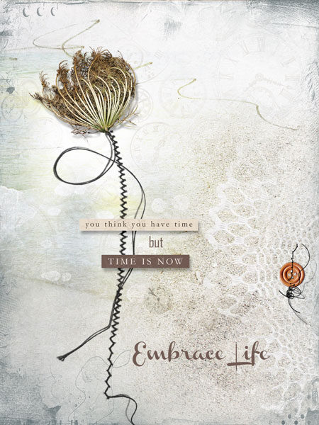 Embrace Life- Anna lift