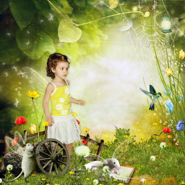 Enchanted Forest