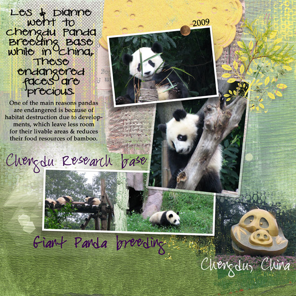 Endangered Pandas