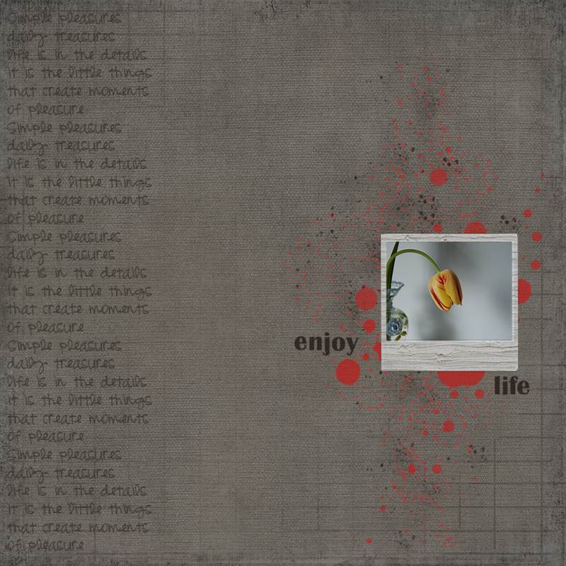 Enjoy Life