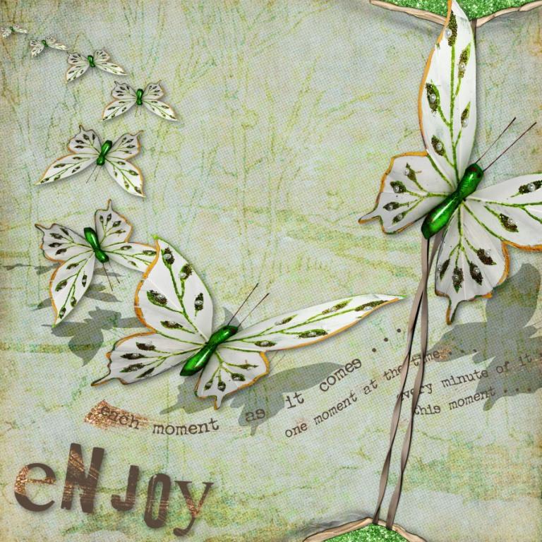 Enjoy, moment, butterflies