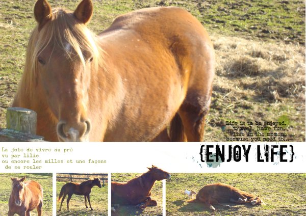 enjoy on grass