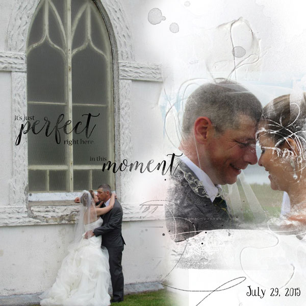 Erica and Jim July 29, 2015