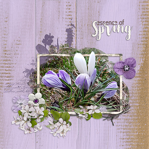 Essence of Spring