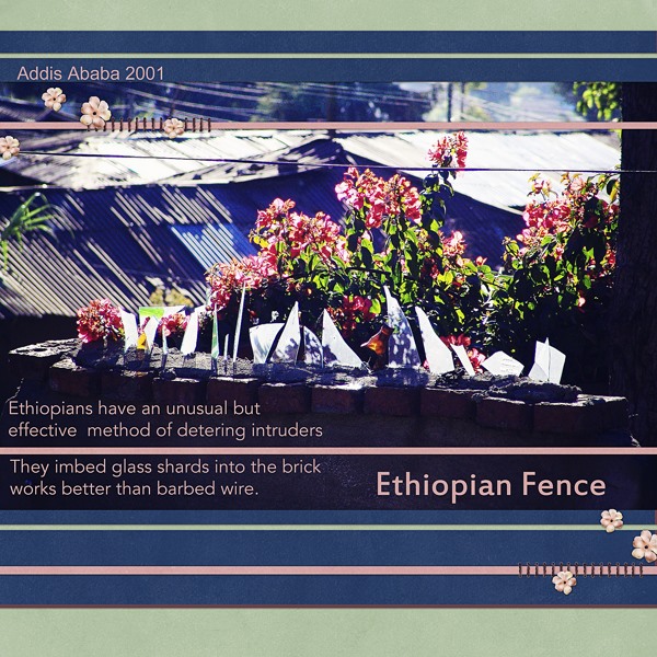 Ethiopian Fence
