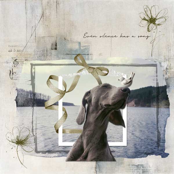 Even Silence Has a Song