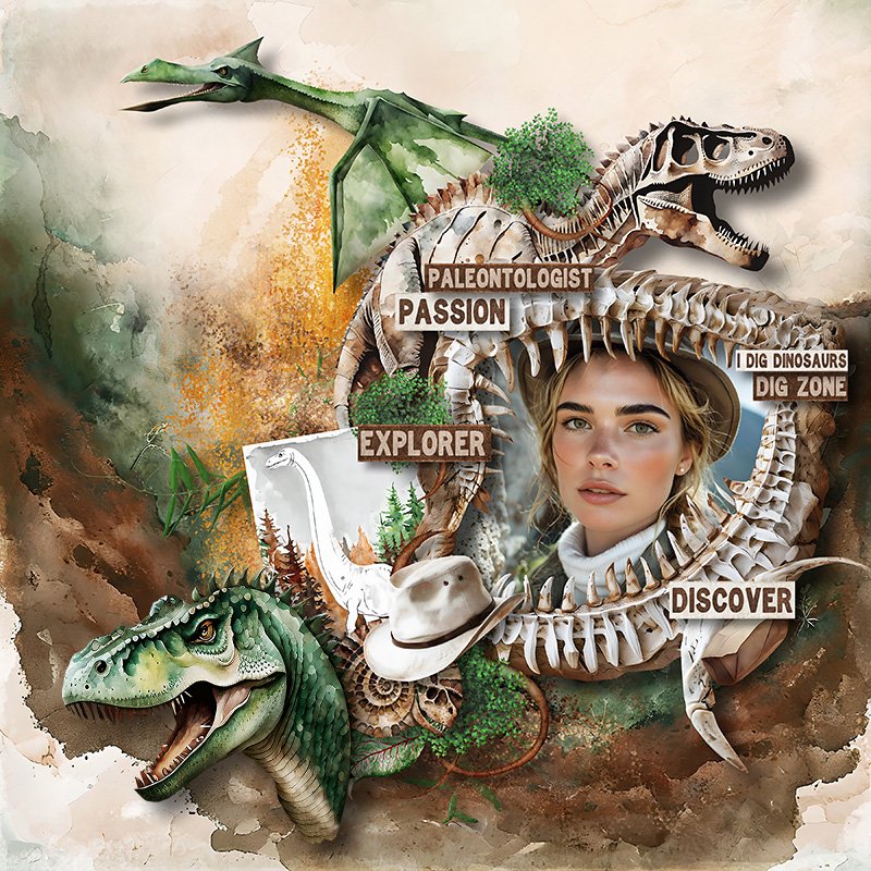 Explorer