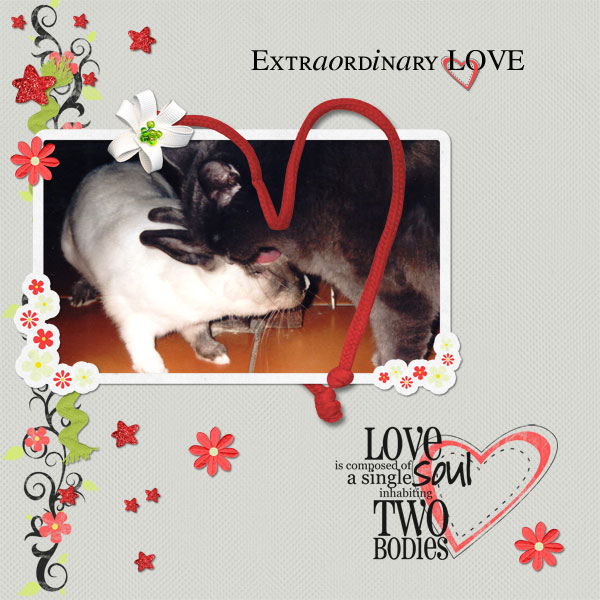 Extraordinary Love