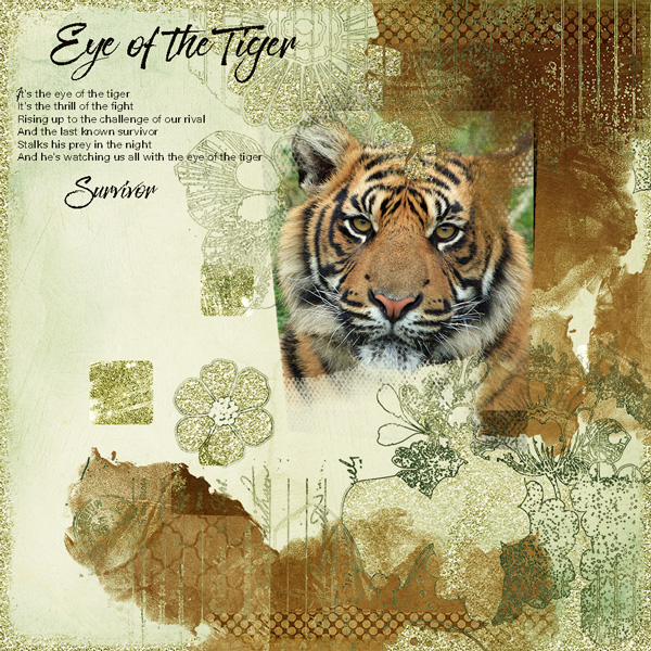 Survivor – Eye of the Tiger Lyrics