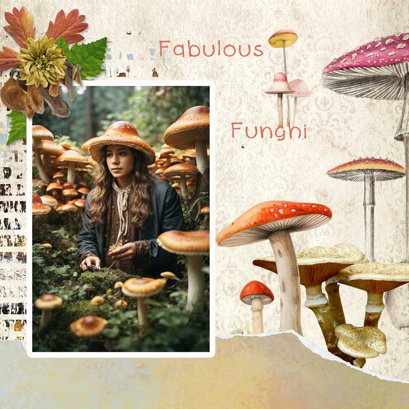 Fabulous-Funghi-ViVa-Artist.jpg