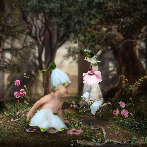 Fairy woods