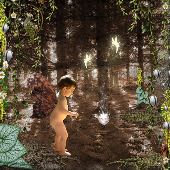 Fairy