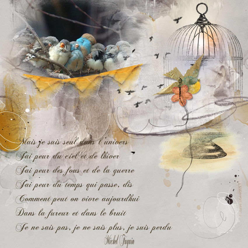 Fais comme l'oiseau... de Michel Fugain...