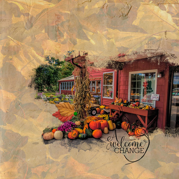 Fall Begins