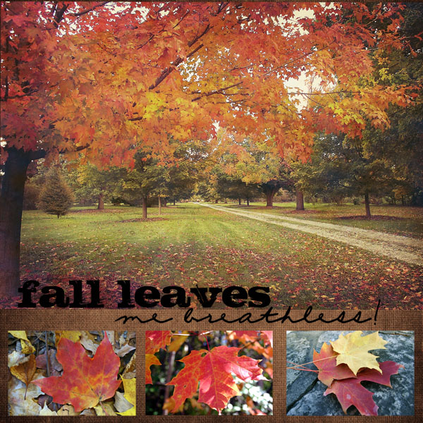 Fall Leaves