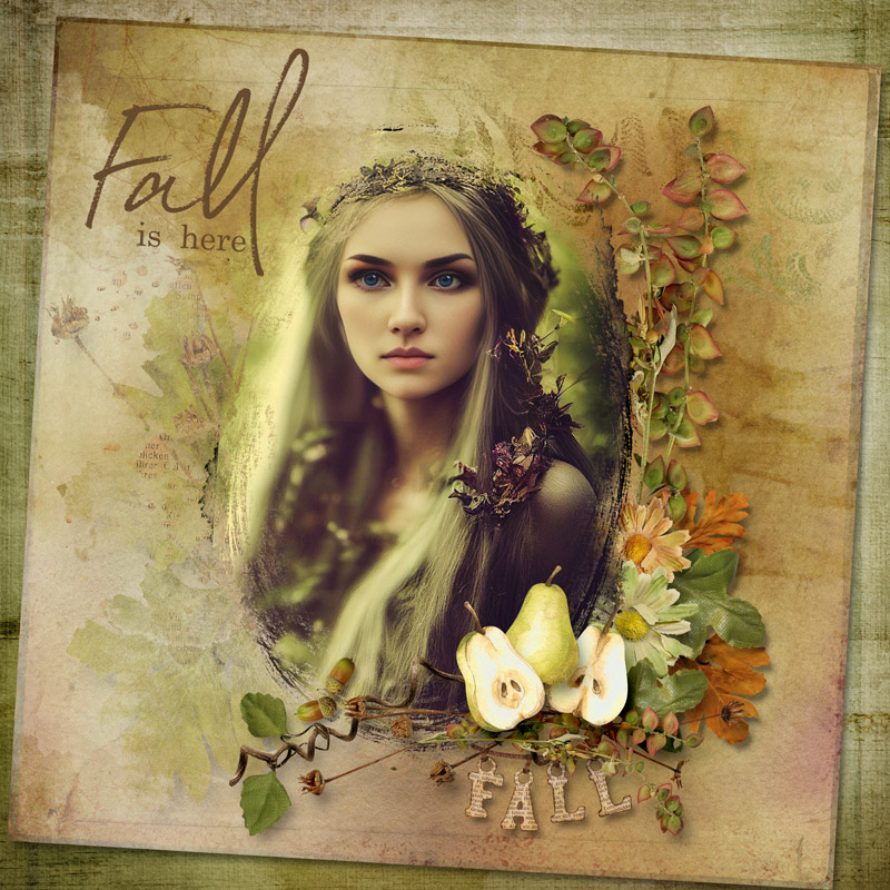 Fall-Vibes-Palvinka